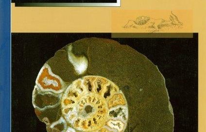 VOLUME 1. NUMBER 3. 2003