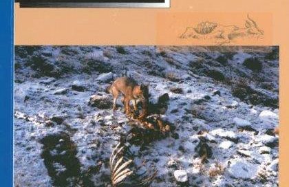 VOLUME 3. NUMBER 1. 2005
