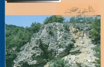 VOLUME 4. NUMBER 4. 2006
