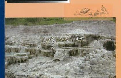 VOLUME 4. NUMBER 3. 2006