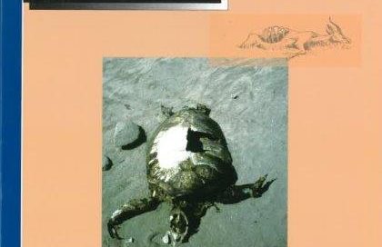 VOLUME 5. NUMBER 2. 2007