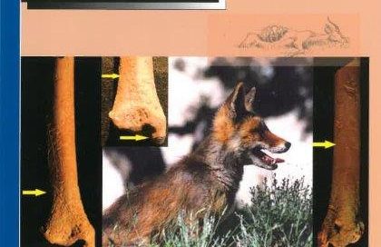 VOLUME 5. NUMBER 3. 2007
