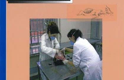 VOLUME 5. NUMBER 4. 2007