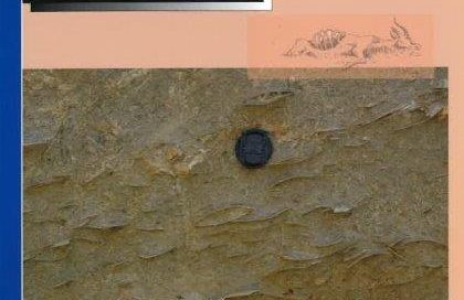 VOLUME 7. NUMBERS 2-3. 2009 [TAPHOS'08]