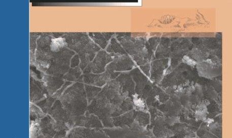 VOLUME 10. NUMBER 1. 2012