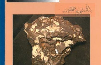 VOLUME 5. NUMBER 1. 2007